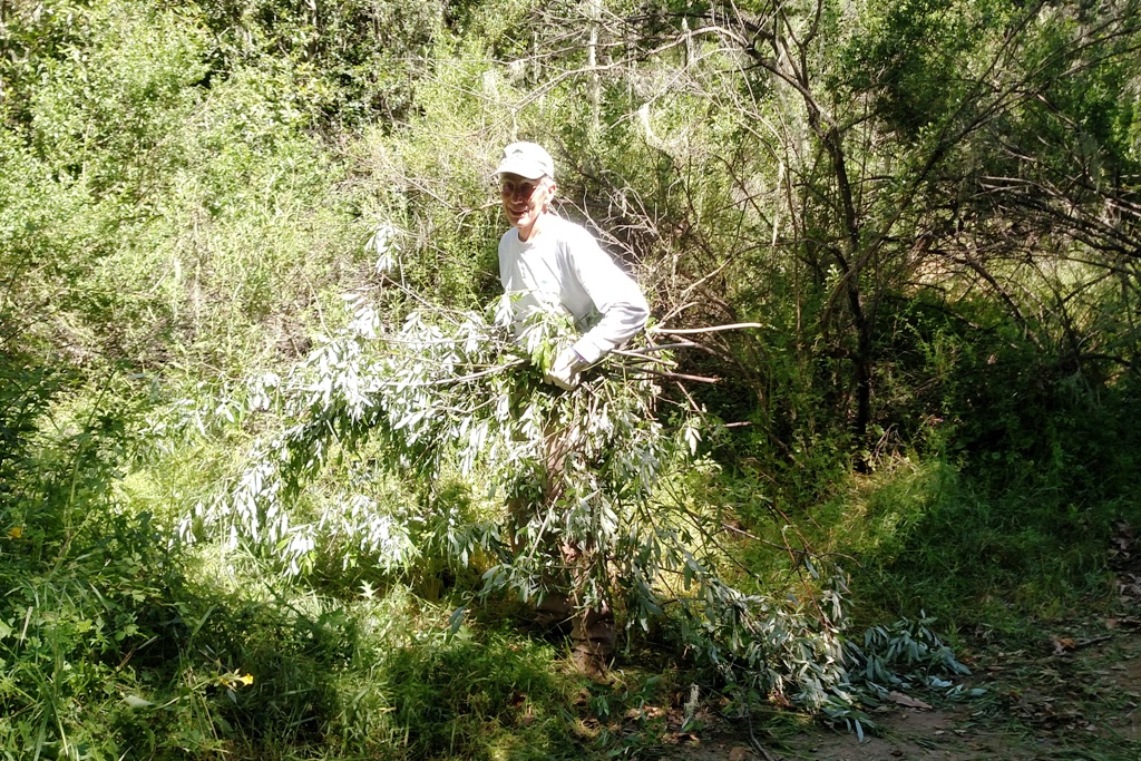 John hauling away brush trimming.